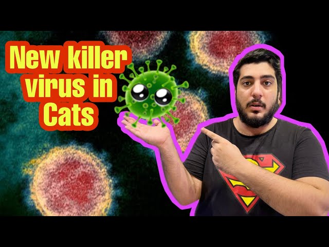 Apni Cat's ko Bacha Lo is Virus se 😥 | Feline panleukopenia virus is Changing his properties now