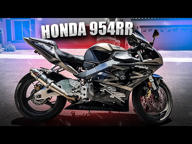 I Bought a Honda CBR954RR! [Motovlog 378]