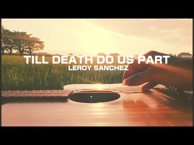 (Part1) Till Death Do Us Part | Leroy Sanchez | Guitar Fingerstyle | Instrumental (Short Cover)