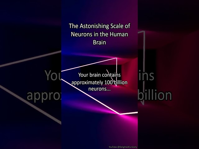 The Astonishing Scale of Neurons in the Human Brain