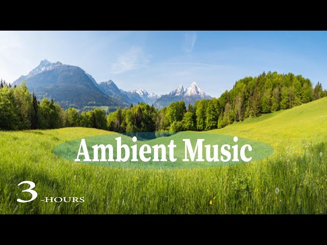 3 Hour Ambient Meditation Music | Deep Calm & Tranquility