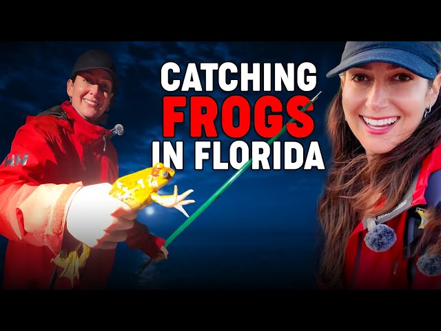 Catching Frogs with A Blowgun & Gigs in Florida