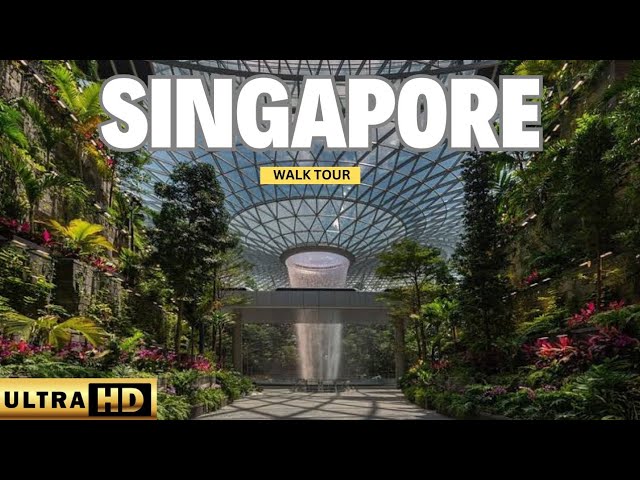 Jewel Changi Airport/Glimpse Of Shiseido Forest Valley Walk Tour