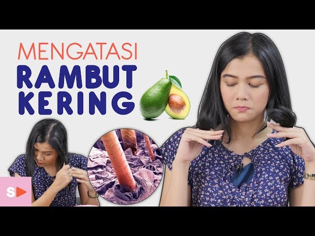 Begini 4 Cara Mudah Mengatasi Rambut Kering