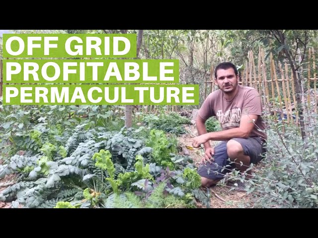 Off the Grid Zero Waste Profitable Permaculture Farm