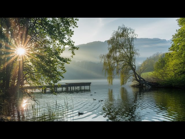 Relajación Natural: Música Instrumental y Sonidos de la Naturaleza | Natural Relaxation Music