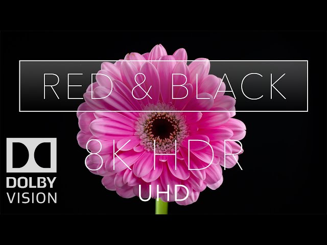 8k HDR Ultra HD Red & Black Dolby Vision