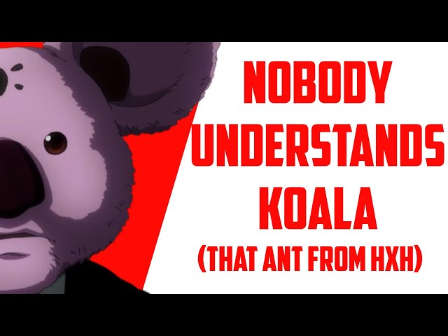 The Koala from Hunter x Hunter (Analysis)