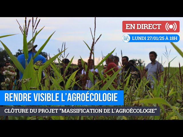 Massifier l'agroécologie : WEBINAIRE de clôture de projet