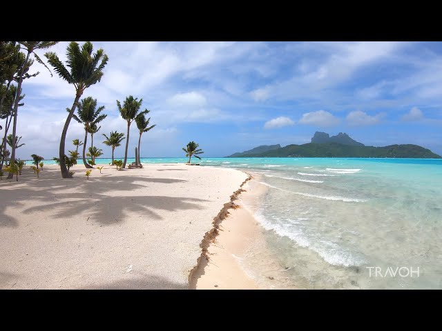 Tropical Island Walk | Ocean Beach Nature | Motu Tane | Bora Bora, French Polynesia 🇵🇫 | 4K Travel