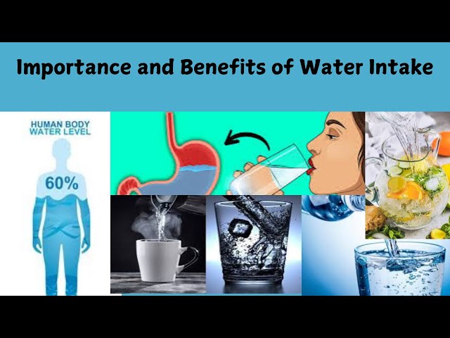 Importance and Benefits of Water|weight loss| Healthy life Journey by Ainee Waqas