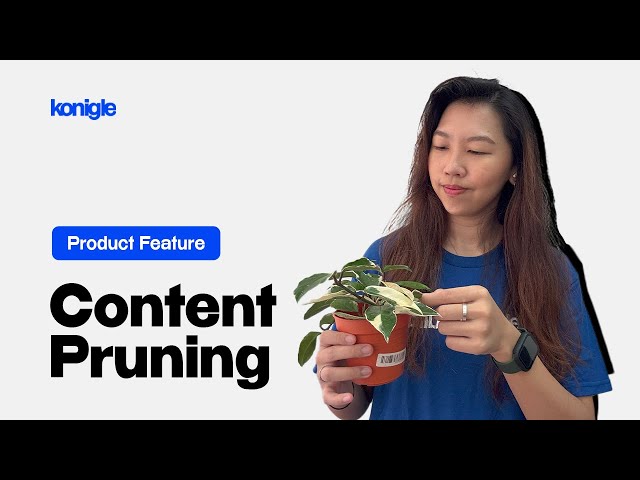 The FASTEST Way to Prune Content in Bulk Without Losing Your Mind