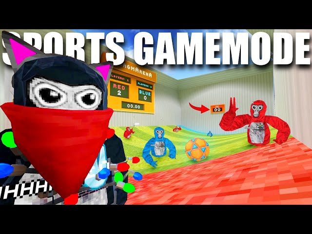 Gorilla Tags NEW Sports Arena Gamemode UPDATE...