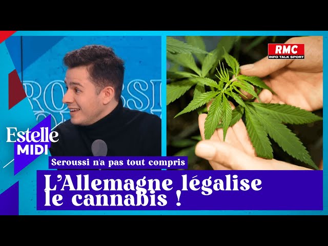 Vincent Seroussi: L’Allemagne légalise le cannabis !