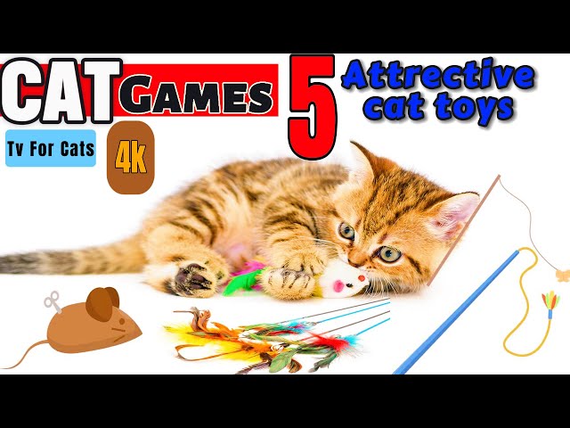 CAT GAMES, 5 Fun Cat Toys That Will Keep Your Feline Entertained! 🐾 (4K), Video for cats to watch