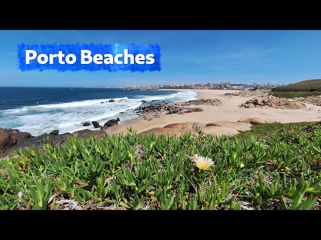 Exploring Beaches in Porto