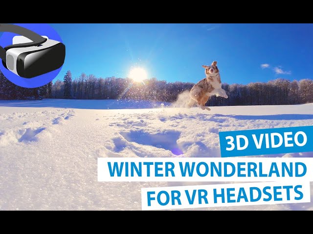 Winter Wonderland 3D Video - Oculus Quest / Quest 2 & other VR Headsets