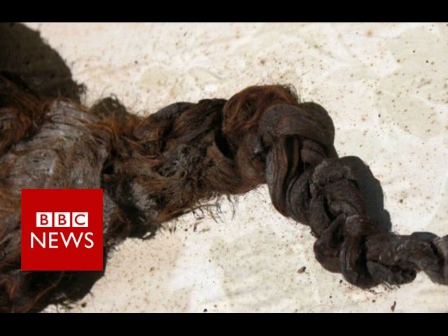 Romsey Abbey: The mystery of the hair in the coffin (360 video) - BBC News