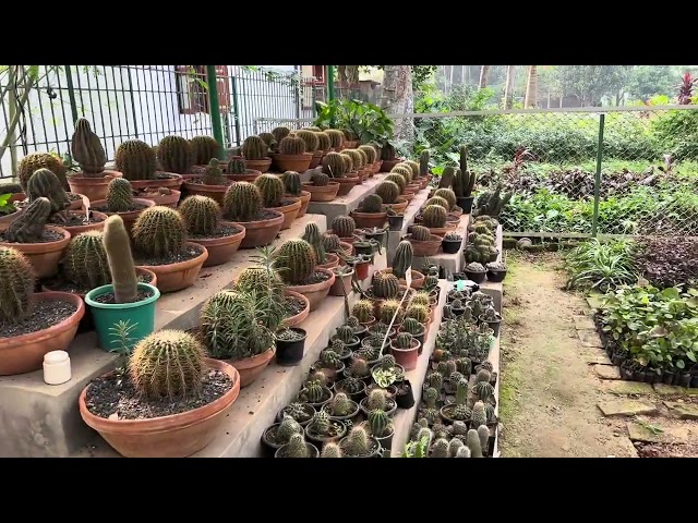 Exploring a Plant Nursery Wonderland: 1000s of Plants | A Gardener's Haven