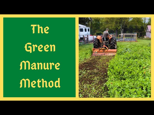 Grow Your Own Fertilizer - Fall Planting Green Manure Cover Crops In The Home Garden