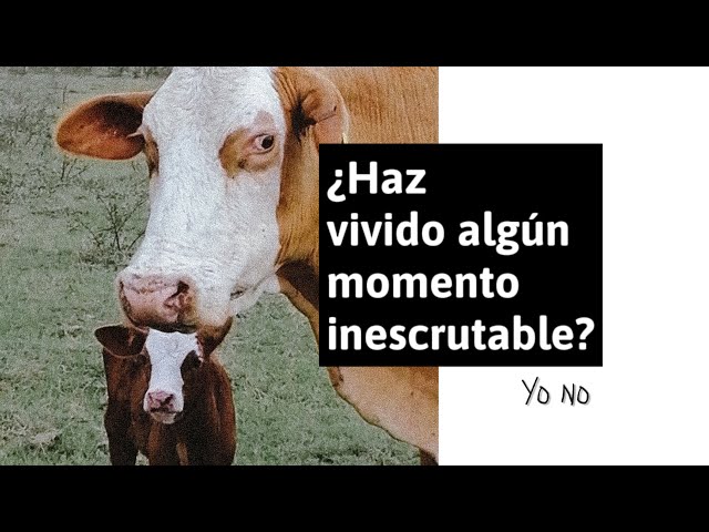 ¿Haz vivido algún momento inescrutable?