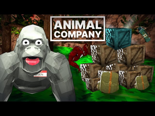 Opening crates in animal company