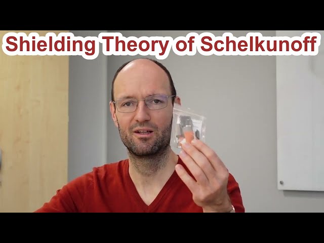 Shielding of Electromagnetic Fields and Shielding Efficiency Calculation According to Schelkunoff