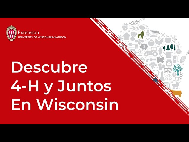 Descubre 4-H & Juntos en WI