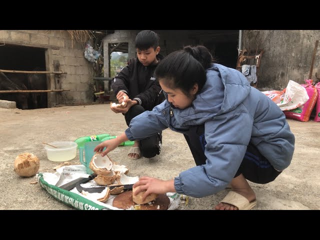 The girl make Tet jam from coconuts and invites the whole family to enjoy ep 68 |Farm family channel