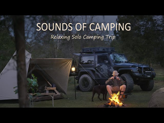 Solo Camping in the Australian Bush with my Dog [ Steak on campfire, Car: Jeep Wrangler ] SoC ep19