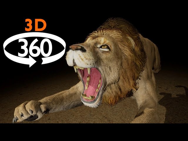 VR 360 - Attacked by Lions (and More) - 3D 4k