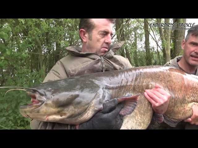 Frank Warwick takes a 100lb-plus catfish on fake corn!