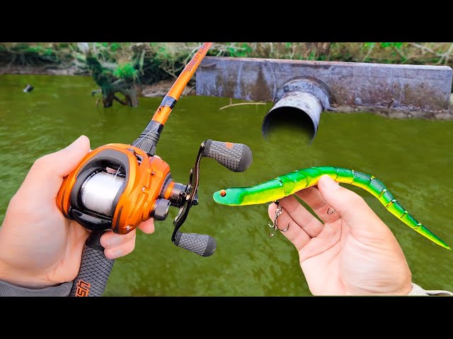 Fishing a Snake Lure for Pond MONSTERS!