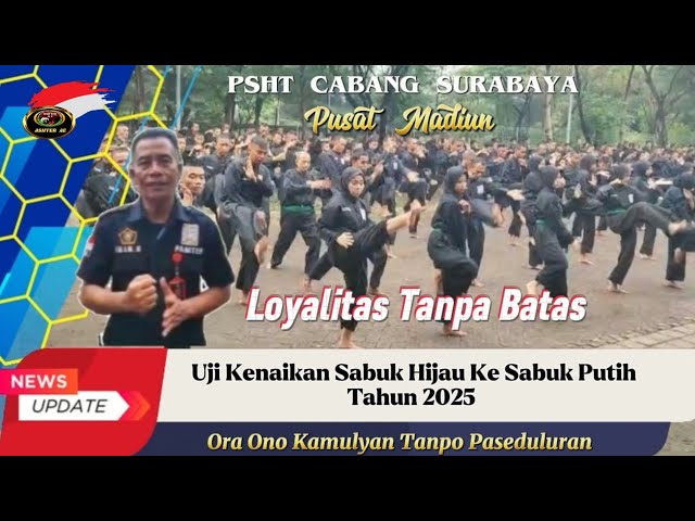 ❤️ PSHT Cabang Surabaya 250 Siswa Uji Kenaikan Sabuk Putih Tahun 2025