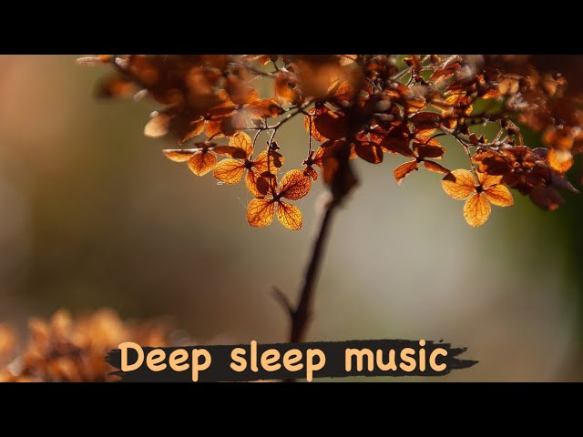 Relaxing Music For Meditation | Relief Your Pain | Relaxing Sleep Music & Meditation | #Instrumental