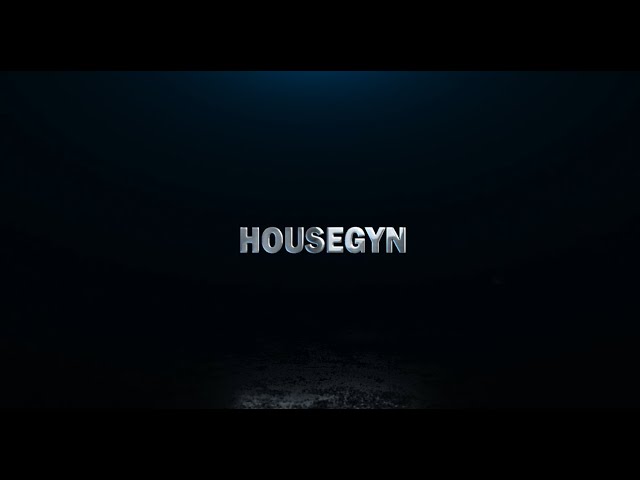 ESPECIAL HOUSEGYN - Sourake