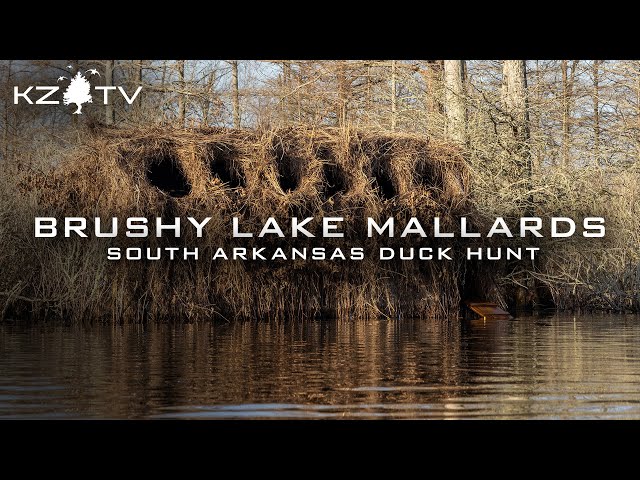 South Arkansas Mallards (The Back Stop Of The Migration) K Zone TV: "Brushy Lake Mallards"