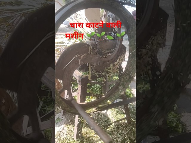 lawn mover(चारा काटने वाली मशीन)#shorts#shortsfeed #farming