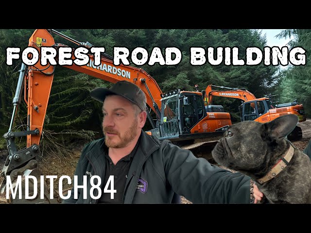 Building forest roads, Episode 8