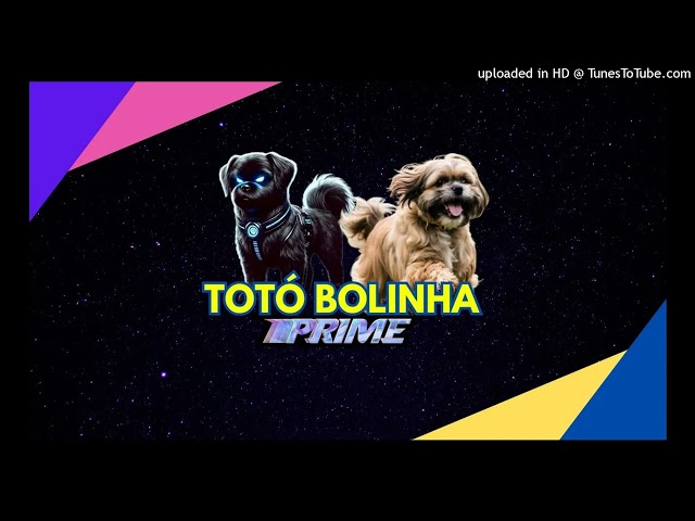 Totó Bolinha Prime | UM BOM FUTURO | Instrumental de Creditos | TOTÓ BOLINHA PRIME