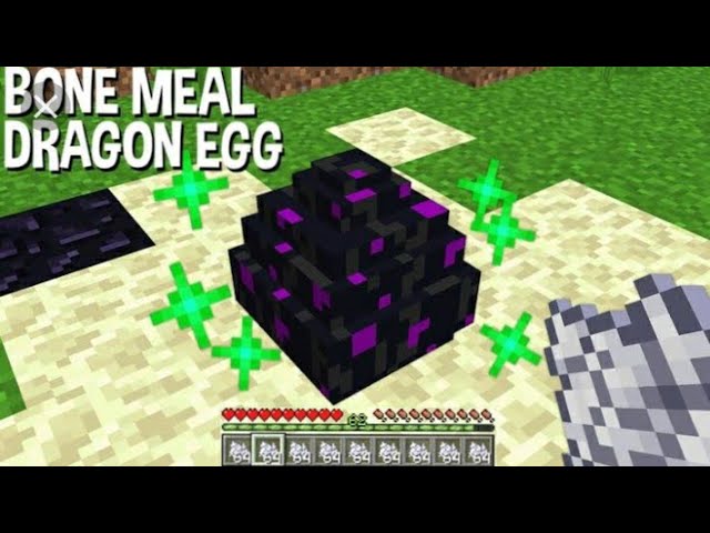 Dragon Egg VS Bone Meal #Shorts