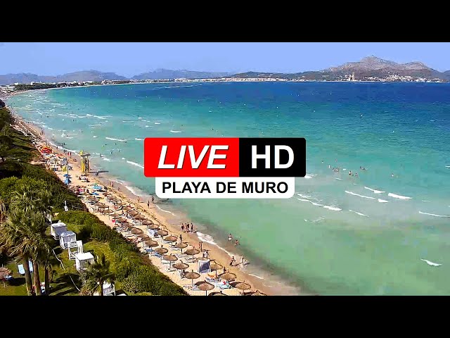 Live Webcam Playa de Muro 🏖️ Resort Playa Esperanza ☀️ Muro ☀️ Mallorca ☀️ Baleares 🌎 🅻🅸🆅🅴