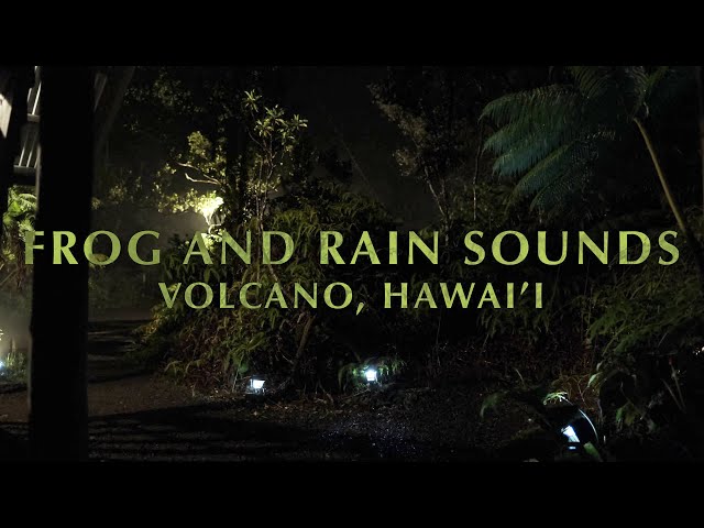 Coqui frog sounds in Volcano, Hawai'i