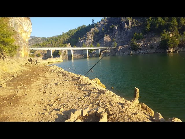 CARP FISHING MENGE DAM. NO WAY, IT CAN'T BE THIS MUCH...