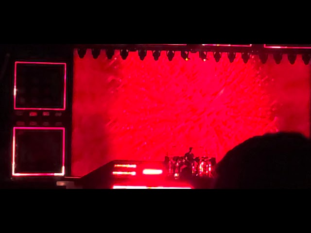 NF TRUST LIVE