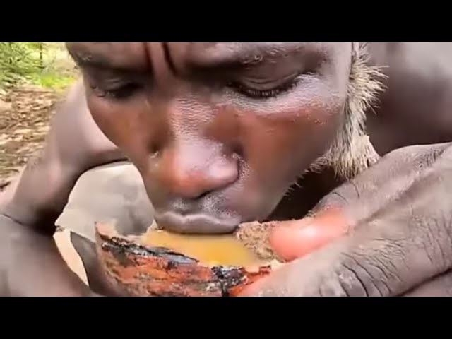 The Hadzabe Bush Tribe  practice a flexible