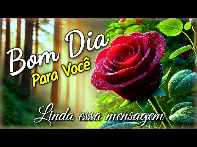 Mensagem de Bom Dia e Reflexão - Como Você Começa o Dia?