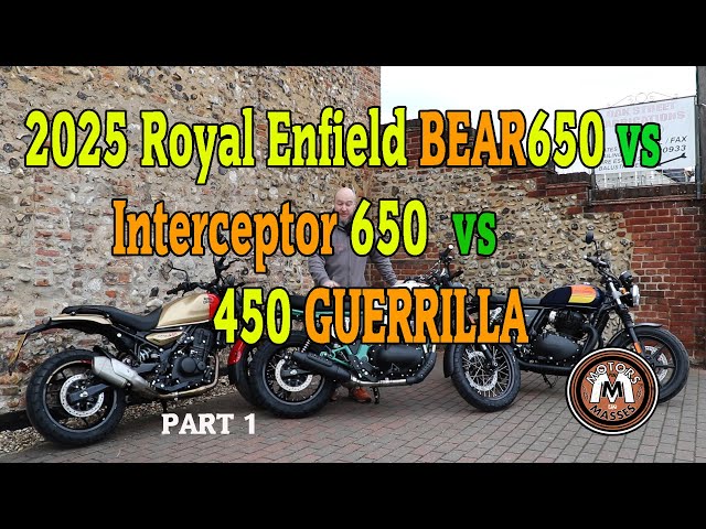 2025 Royal Enfield BEAR 650 vs INTERCEPTOR 650 vs 450 GUERRILLA Review Part1