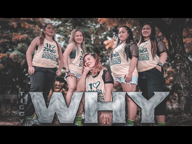 WHY by Tiggy Remix 2022 | PFA | CINEMATIC Dance Fitness Advance Frame