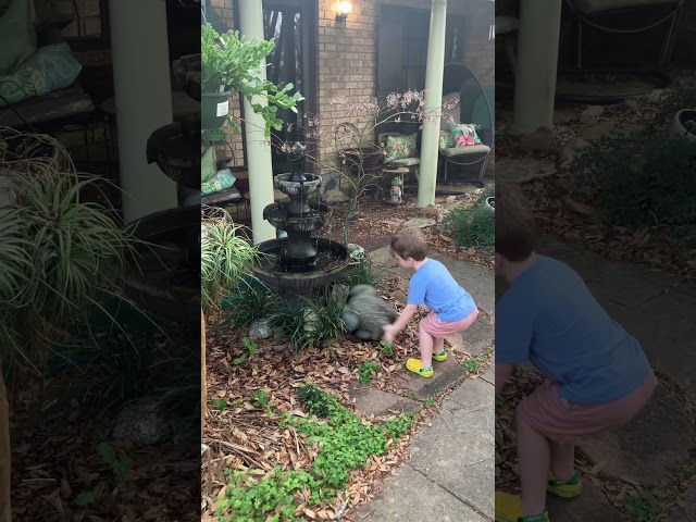 A Curious Toddler DISCOVERS A Fountain In A Garden